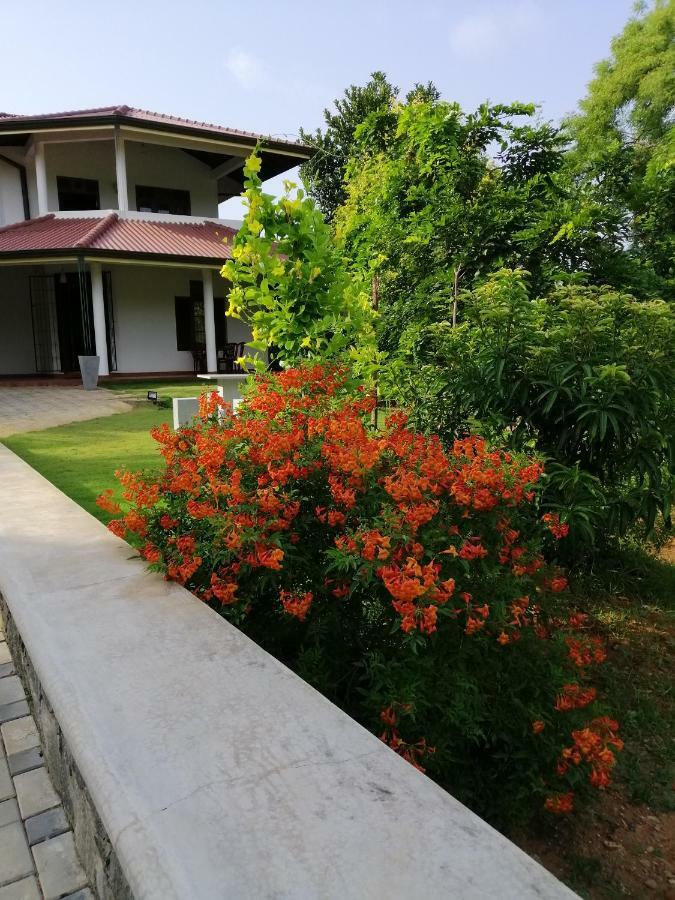 Golden Residence Anuradhapura Eksteriør billede